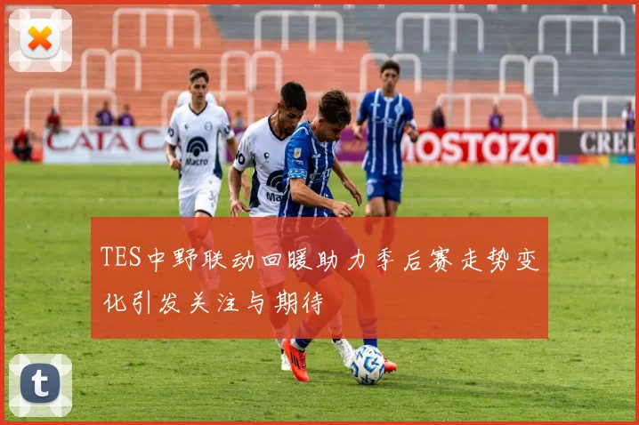 TES中野联动回暖助力季后赛走势变化引发关注与期待